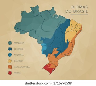 Map of Biomes of Brazil in colors. Modern and clean style sketch. svg