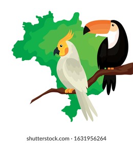 map of brazil with parrot and toucan isolated icon vector illustration design