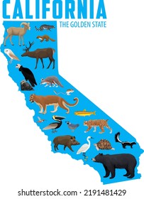 map of California with animals(kangaroo rat, deer, desert tortoise, brown pelican, desert bighorn sheep, golden trout, california quail, california condor, black bear, puma, hog,  snowy egret)