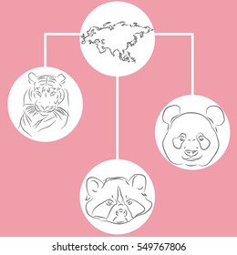 Map of Eurasia and three kinds of animals Tiger, Panda, raccoon