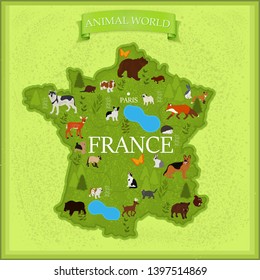 Map of France with animals and plants on a light yellow background