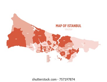 Map of Istanbul. Vector.