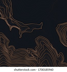 Map line of topography. Vector abstract topographic map concept with space for your copy.Abstract paper cut. Abstract colorful waves. Wavy banners. Color geometric form.