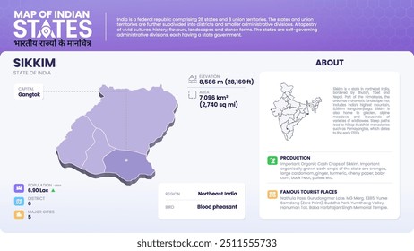 India State Overview Diseño de infografías 