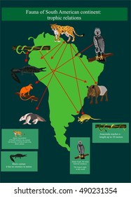 Map of south america with it's fauna. Biodiversity of animals, wildlife vector illustration For poster design