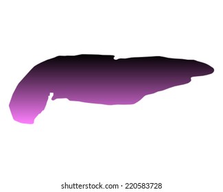 Map of Spiekeroog
