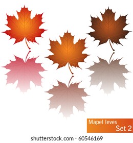 Mapel tree leaves set 2 vector isolated on white with reflections