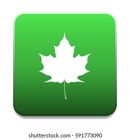mapele leaf icon