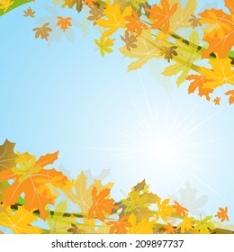 Fondo de otoño de arce, ilustración vectorial