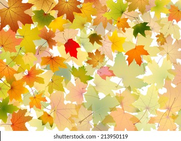 Maple autumn falling leaves background, vector illustration.