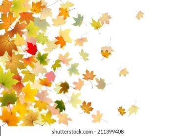 Maple Autumn Falling Leaves, Vector Illustration.