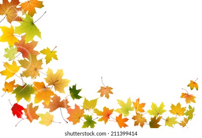 Maple autumn falling leaves, vector illustration.