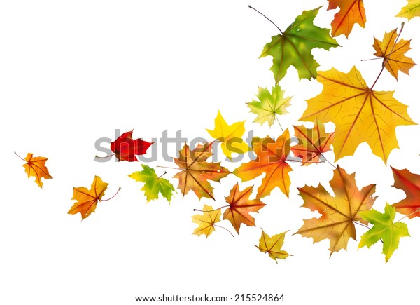 Maple Autumn Falling Leaves Vector Illustration Stock Vector (Royalty ...