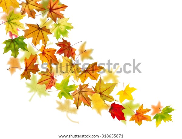 Maple Autumn Falling Leaves Vector Illustration Stock Vector (Royalty