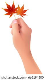 Maple autumn hand icon