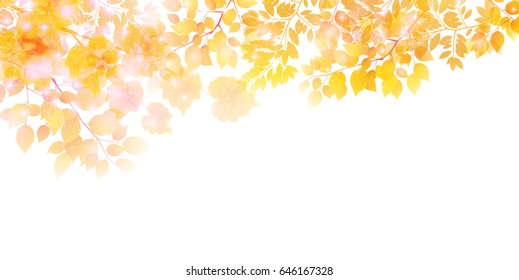 Maple autumn landscape background