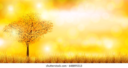 Maple autumn landscape background