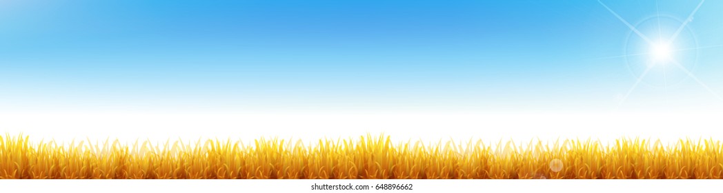 Maple autumn landscape background