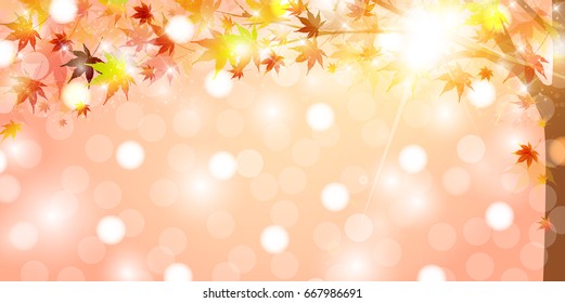 Maple autumn landscape background