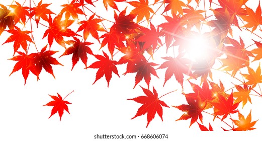 Maple autumn landscape background