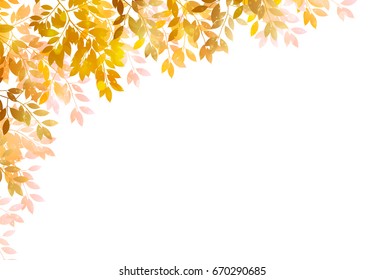 Maple autumn landscape background