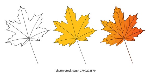 Maple autumn leaf. Drawing by steps. Isolated on white. Vector illustration.