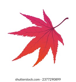 Maple autumn leaf. Element for making fall season designs. Vector illustration.