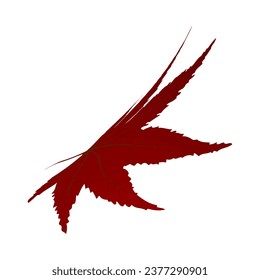 Maple autumn leaf. Element for making fall season designs. Vector illustration.