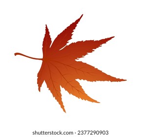 Maple autumn leaf. Element for making fall season designs. Vector illustration.
