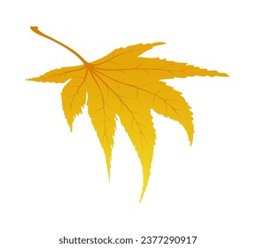 Maple autumn leaf. Element for making fall season designs. Vector illustration.