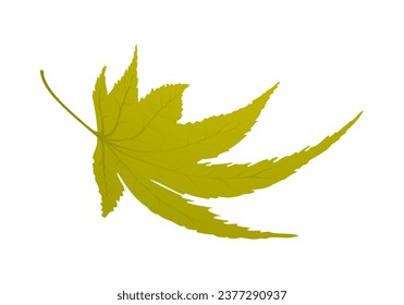 Maple autumn leaf. Element for making fall season designs. Vector illustration.