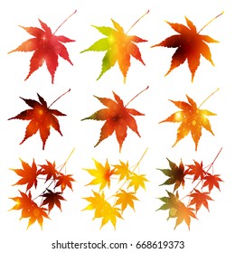 Maple autumn leaf icon