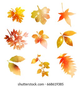 Maple autumn leaf icon