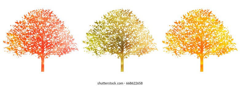 Maple autumn leaf icon