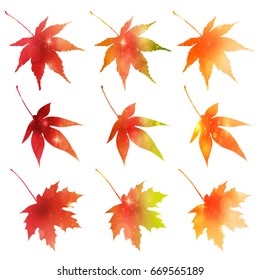 Maple autumn leaf icon