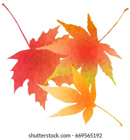 Maple autumn leaf icon
