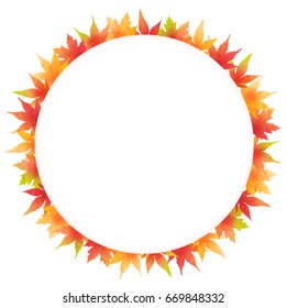 Maple autumn leaf icon