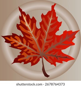 Maple autumn leaf from the park, colored for design and printing on t-shirts