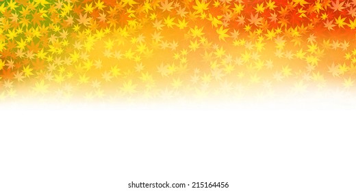 Maple autumn leaves