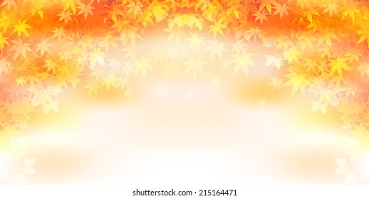 Maple autumn leaves