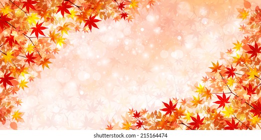 Maple autumn leaves