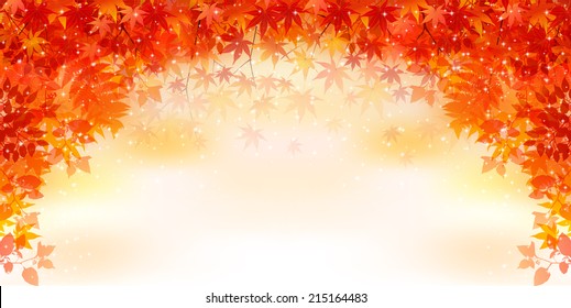 Maple autumn leaves