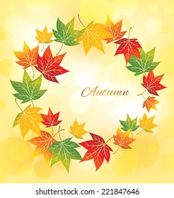 maple autumn leaves