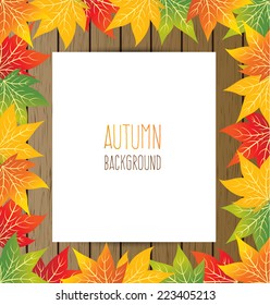 maple autumn leaves