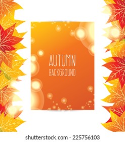 maple autumn leaves