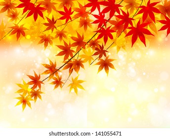 Maple autumn leaves autumn background
