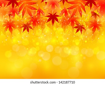 Maple autumn leaves background autumn