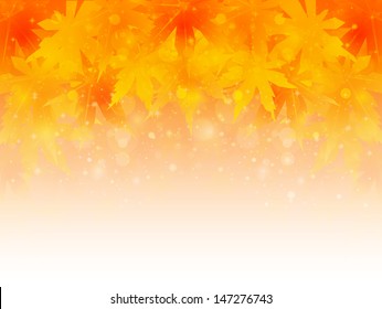 Maple autumn leaves background