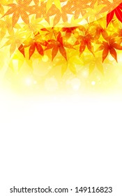 Maple autumn leaves background