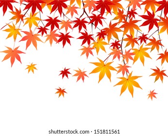 Maple autumn leaves background